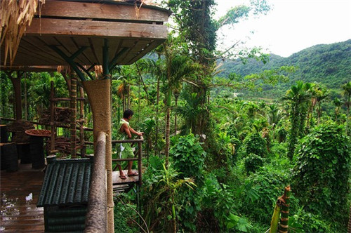 婴儿辅食机10大品牌