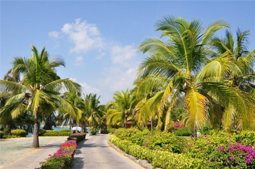 大理村子房子出售（大理农村附近的民房出售）