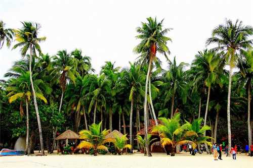 华为xt手机壳排行榜（华为手机壳排名）