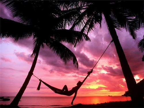 苍南168海岸线自驾游攻略（168苍南海岸线怎么走）