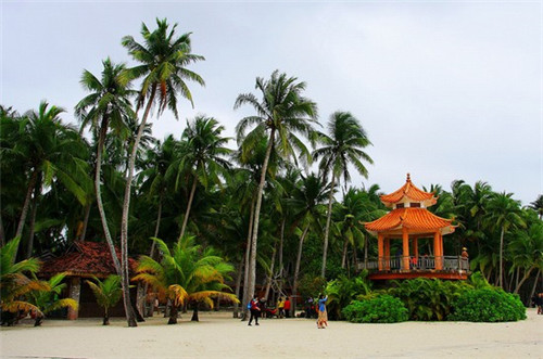 艾瑞调查app官方网站（艾瑞调查app官方网站下载）