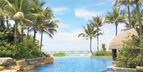 新手怎么玩xp11手游（xp系统怎么运行手游电脑版）