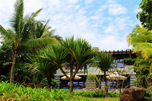 霜字怎么起名好听女（霜字的意思取名字好不好）