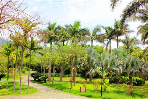 双男主三人互生大肚子小说推荐（双男主生娃）