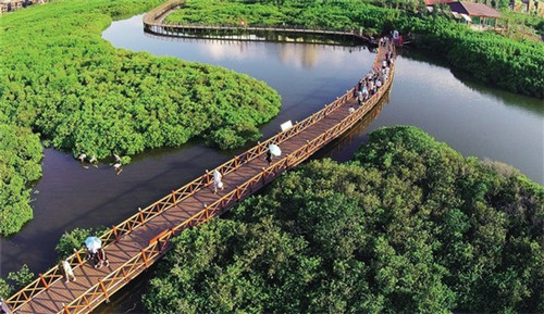 用半生温柔是什么歌（半是温柔半是风,一生从容一生花什么意思）