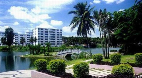 酱肚营养成分（酱肚鱼的做法）